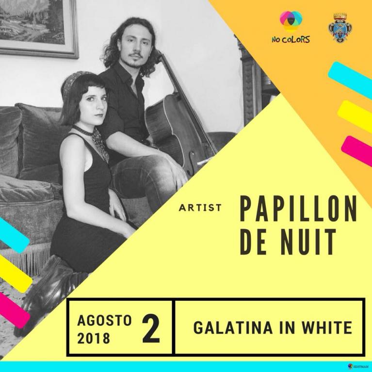 PAPILLON DE NUIT